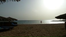 Наташа .... фотография #11 (источник - https://vk.com/id631785)