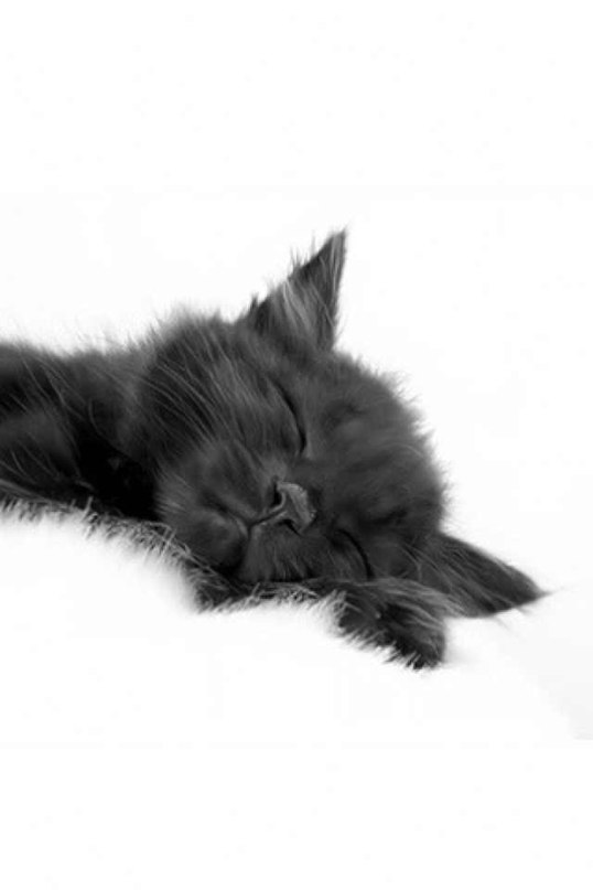 Lu Na фотография #21