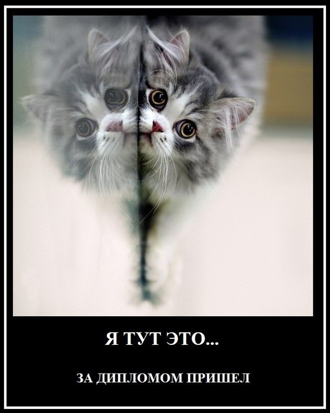 Павел Никитин фотография #30