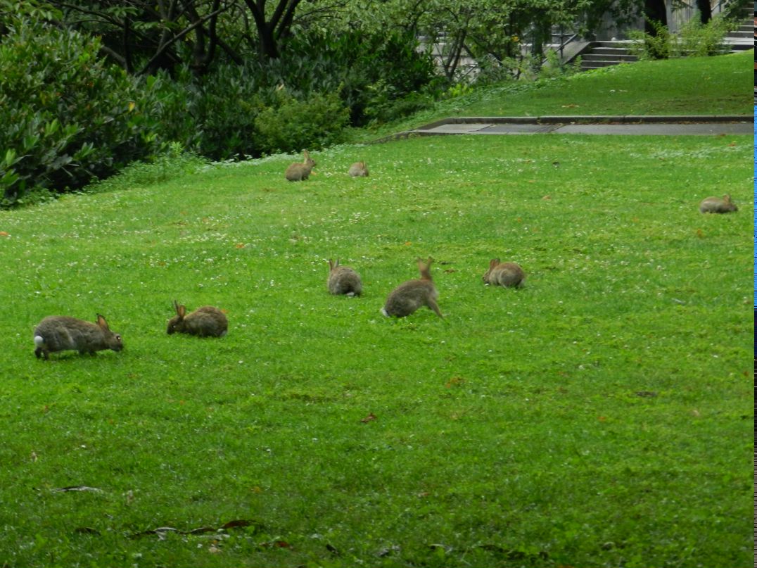 Игорь Савченко фотография #44