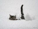 Ольга Білограй фотография #46 (источник - https://vk.com/id154324991)