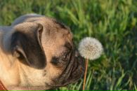 Фотография Симонешко Артём
