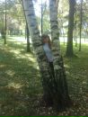 Вікторія Голубка фотография #30 (источник - https://vk.com/id102447051)