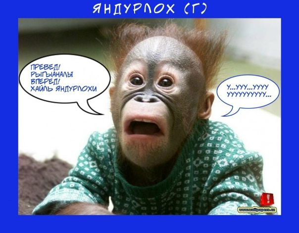 Супер $$$бабник$$$ фото №1