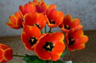 Фотография Горячевой Виктории