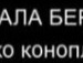 Діма Магерко фотография #21 (источник - https://vk.com/id112402431)