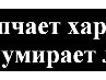 Віталій Гнатів фотография #40 (источник - https://vk.com/id156324473)