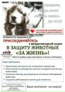 Фотография Алабушевой Людмилы