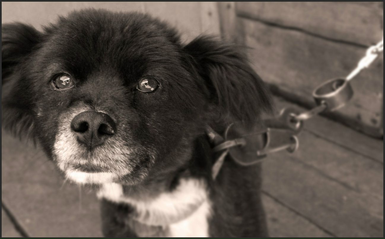 Валя Самапосебе фотография #34