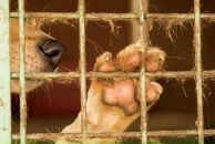 Фотография Лебедевой Антонины