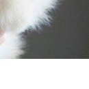 Надя Бабійчук фотография #9 (источник - https://vk.com/id147804112)