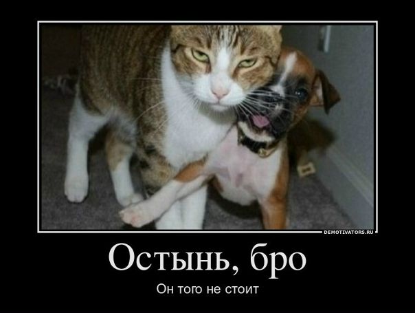 №3, Кирилл Торлопов, 36 лет, Санкт-Петербург №3, Кирилл Торлопов, 36 лет, Санкт-Петербург