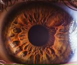 Фотография Волобуева Кири