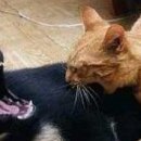 Діма Стоцький фотография #36 (источник - https://vk.com/id78186447)