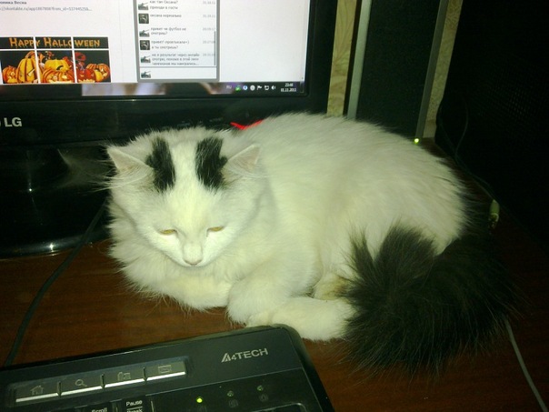 Виктор Башкатов фото №31