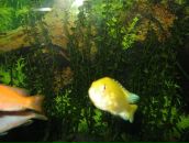 Андрій Ордаш фотография #9 (источник - https://vk.com/id28930375)