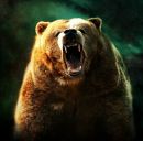 Фотография Дорошева Яросвета