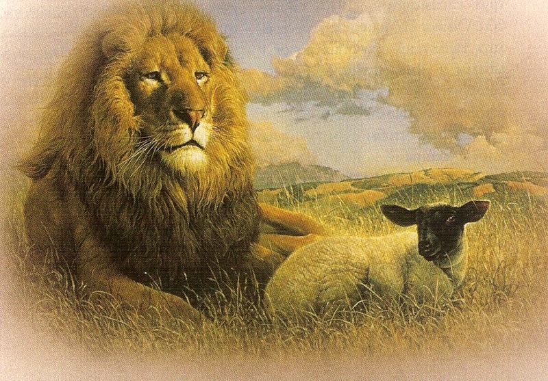 Денис Алтунин фотография #14