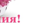 Віка Бульбак фотография #28 (источник - https://vk.com/id134071517)