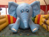 Фотография Соболевой Оксаны