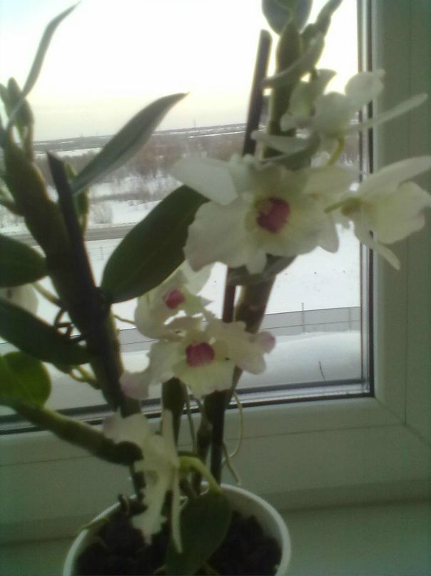 Mars Gimalov фотография #27