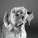 Фотография Васильева Ксения