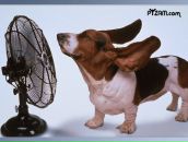 Фотография Постолита Ильи