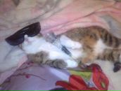 Ігор Черкашин фотография #8 (источник - https://vk.com/id32302949)