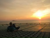 Фотография Викулина Никиты