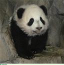 Фотография Осиповой-Проценко Анютки