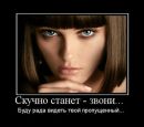 Фотография Алексей Шляпин