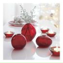 Фотография Сухорученко Елены