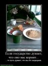 Дмитрий Скоробагатько фотография #31 (источник - https://vk.com/id98922566)