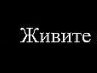 Світланочка Ланочка фотография #23 (источник - https://vk.com/id142716115)
