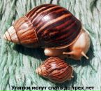 Стас Гребиньский фотография #36 (источник - https://vk.com/id85393011)