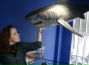 Фотография Епифановской Людмилы