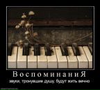 Фотография Илакиной Ани