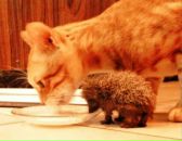 Фотография Дубковой Александры