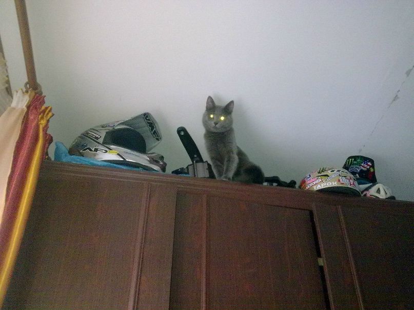 Андрей Тригубенко фотография #49