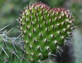 Фотография Рыжковой Дарьи