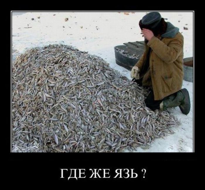 Сергей П фотография #30