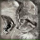 Фотография Тимофеевой Марии