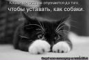 Сергій Курилюк фотография #18 (источник - https://vk.com/id134005329)