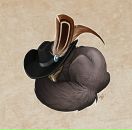 Фотография Андреевны Ксении