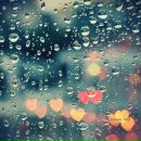 Фотография Шестаковой Марии