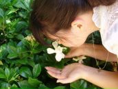 Фотография Шишов Никита