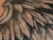 Поліна *) фотография #48 (источник - https://vk.com/id126738924)