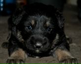 Юра Співак фотография #6 (источник - https://vk.com/id303622338)