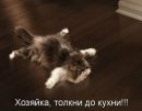 Фотография Андреева Андрея