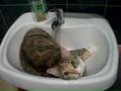 Фотография Федоровой Татьяны